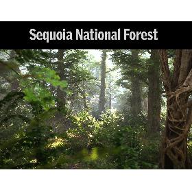 Sequoia Forest HD 3D model